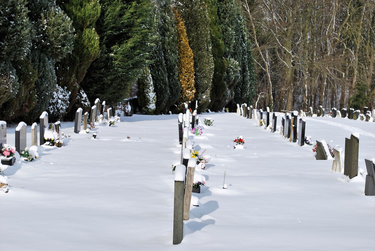 1st. - Geoff Johnson